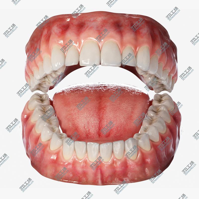 images/goods_img/202104023/Realistic Human Mouth Teeth Tongue Rigged 3D model/1.jpg